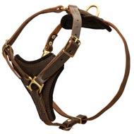 Tracking Leather Newfoundland Harness With Y-Chest Plate  Tracking Leather Newfoundland Harness With Y-Chest Plate