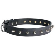 Newfoundland Leather Collar Spiked 30 mm  Newfoundland Leather Collar Spiked 30 mm