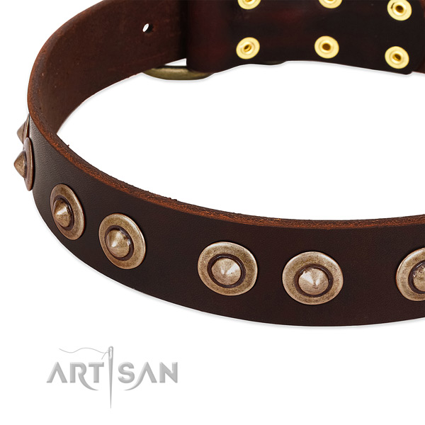 Rust resistant decorations on genuine leather dog collar for your doggie