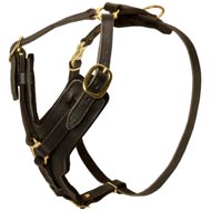Padded Leather Newfoundland Harness for Agitation Training  Padded Leather Newfoundland Harness for Agitation Training