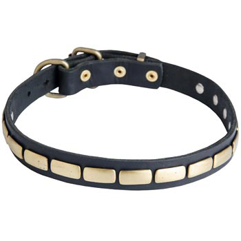 Walking Leather Collar with Brass Decoration for Newfoundland