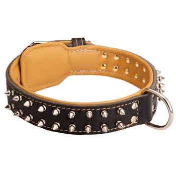 Newfoundland Collar Leather Spiked Padded