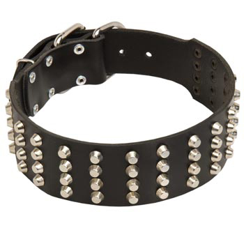 2 Inches Leather   Newfoundland Collar Extra Wide Studded