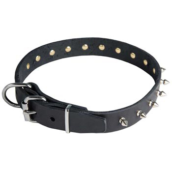 Newfoundland Leather Collar with Spikes