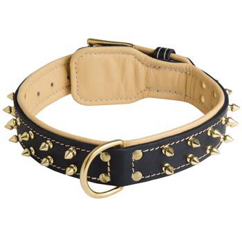 Leather Newfoundland Collar Spiked Padded with Nappa Leather Adjustable 