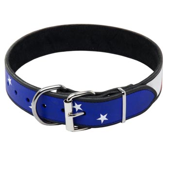Newfoundland Leather Collar With American  Flag Painting