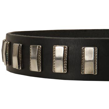 Stylish Leather Collar with Vintage Plates for Newfoundland