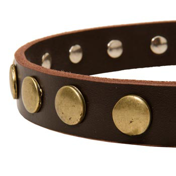 Designer Leather Dog Collar for Walking Newfoundland