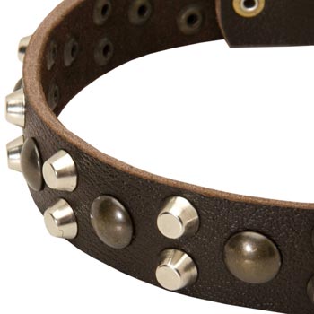Leather Newfoundland Collar with Hand Set Studs