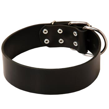 Leather Newfoundland Collar for Control During Walking