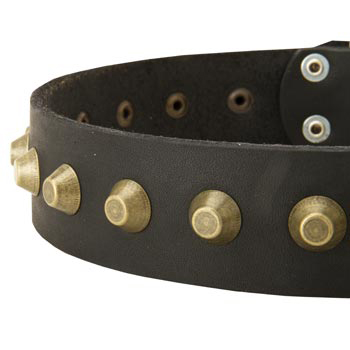 Leather Dog Collar with Brass Pyramids for Newfoundland