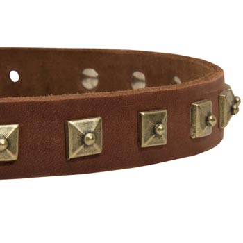 Newfoundland Leather Collar With Square  Studs