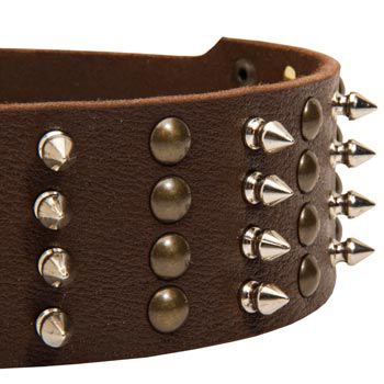Newfoundland Leather Collar with Rust-proof Fittings