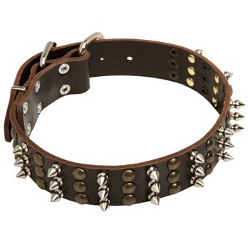 Newfoundland Handmade Leather Collar 3  Studs and Spikes Rows