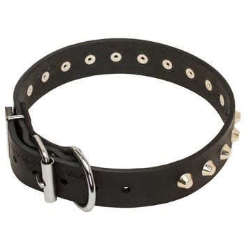 Training Walking Leather Dog Collar with Buckle for Newfoundland