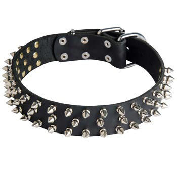 Leather Newfoundland Collar with Spikes