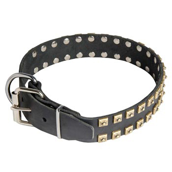 Leather Newfoundland Collar with Solid Rivets