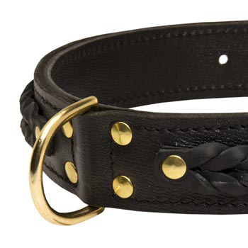 Newfoundland Wide Leather Collar with D-ring