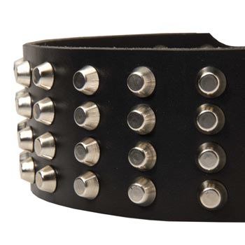 Leather Dog Collar with Studs for   Newfoundland