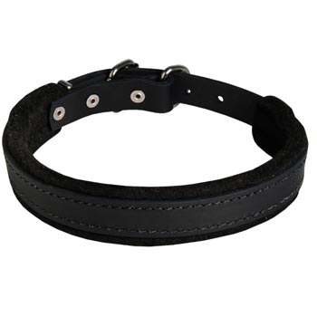 Newfoundland Collar Leather for Dog Protection Attack Training