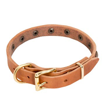 Newfoundland Leather Collar with Studs