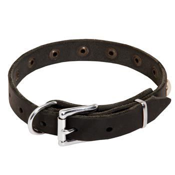Leather Dog Puppy Collar with Steel Nickel Plated Studs for Newfoundland