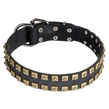 Leather Newfoundland Collar with Firm Studs