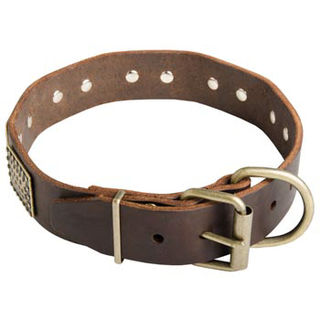 War-Style Leather Collar for Newfoundland