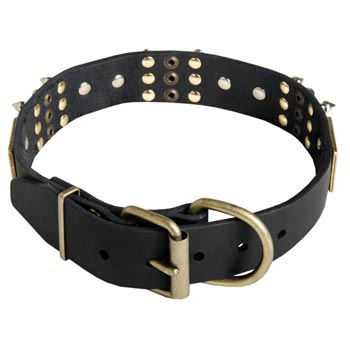 Studded Leather Newfoundland Collar for Walking