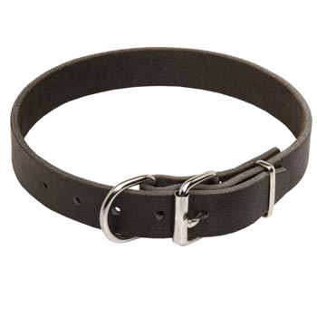 Dog Leather Collar for Newfoundland Training and Walking