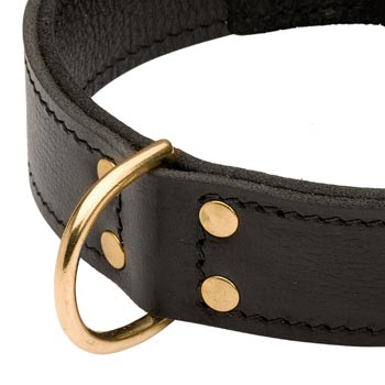Brass D-ring Stitched to Leather Newfoundland Collar