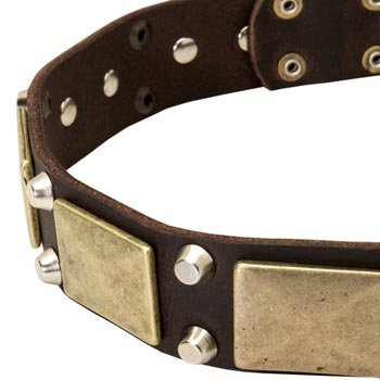 Leather Newfoundland Collar with Nickel Studs