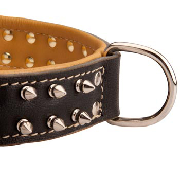 Padded Leather Newfoundland Collar Spiked Adjustable for Training