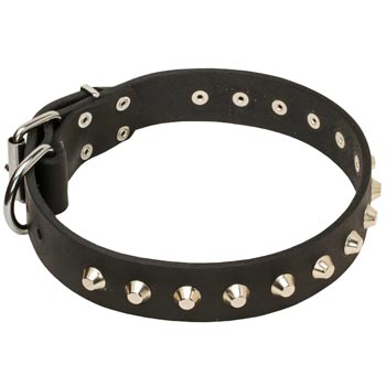 Soft Leather Newfoundland Collar with Nickel Studs