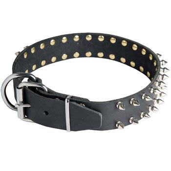 Spiked Leather Dog Collar for Newfoundland Fashion Walking