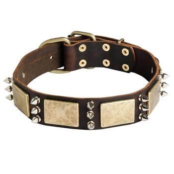 War-Style Leather Dog Collar for Newfoundland