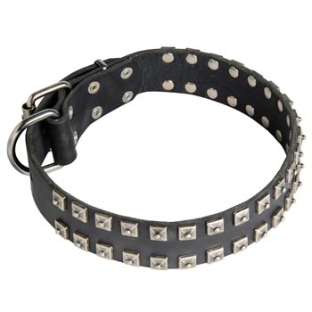 Leather Newfoundland Collar Wide Strong Studded