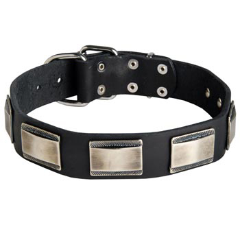 Leather Newfoundland Collar with Solid Nickel Plates