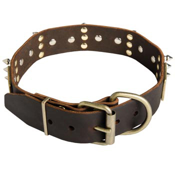 Spiked Leather Newfoundland Collar