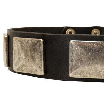 Wide Leather Newfoundland Collar for Walking