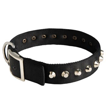 Nylon Buckle Dog Collar Wide with Studs for   Newfoundland
