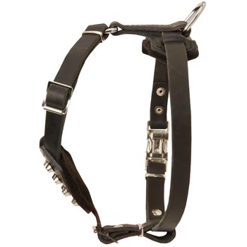 Leather Newfoundland Puppy Harness for Comfy Walking