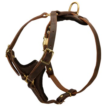 Newfoundland Harness Y-Shaped Brown Leather Easy Adjustable for Best Fit