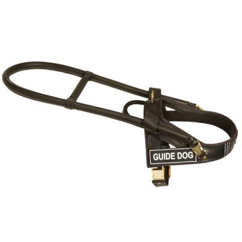 Newfoundland Guid Harness Leather for Dog Assistance