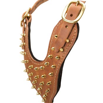 Brass Spiked Leather Newfoundland Harness