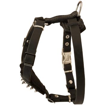 Newfoundland Leather Harness for Puppy Walking and Training