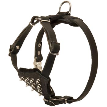 Newfoundland Leather Puppy Harness with Attractive Nickel Decoration