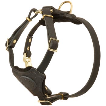 Light Weight Leather Puppy Harness for Newfoundland