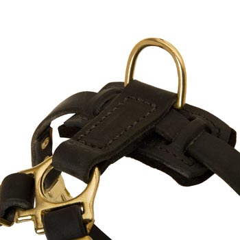 D-ring on Leather Newfoundland Harness for Puppy Training