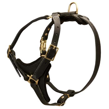 Newfoundland Harness Black Leather with Padded Chest Plate for Training
